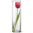 Váza skleněná DRUM II 27,5 x 8,4cm